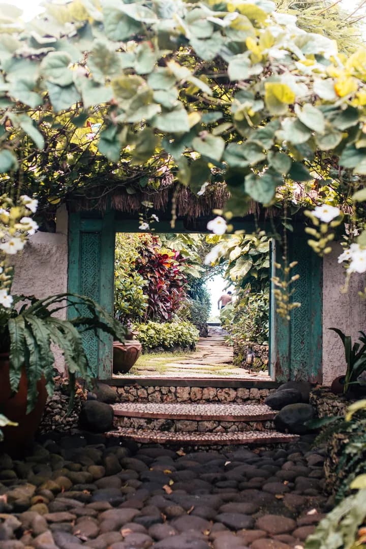 Escalier de pierre et entrée de jardin entourés de plantes et de végétation dense