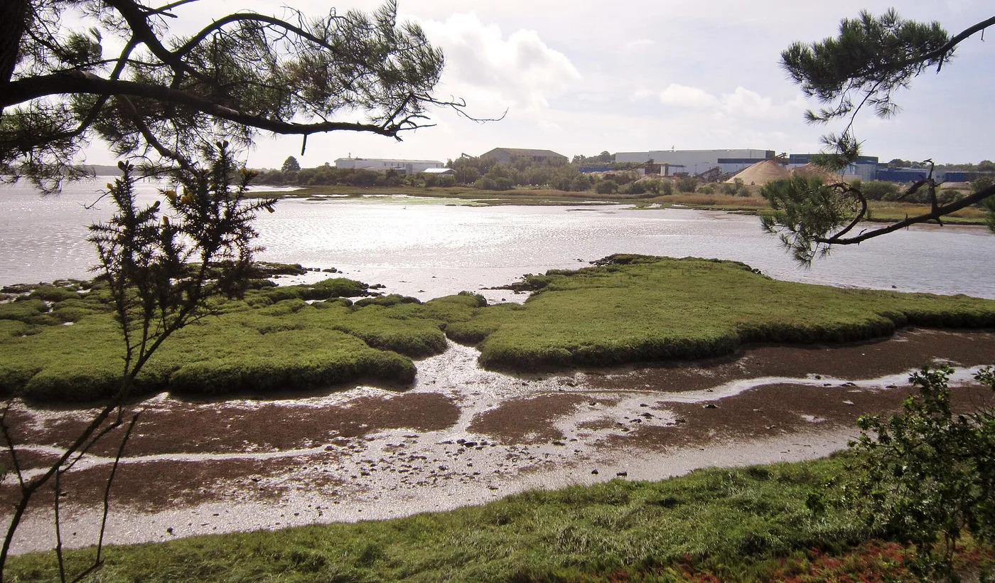 La presqu’île de Saint-Guénaël et le Blavet à Lanester