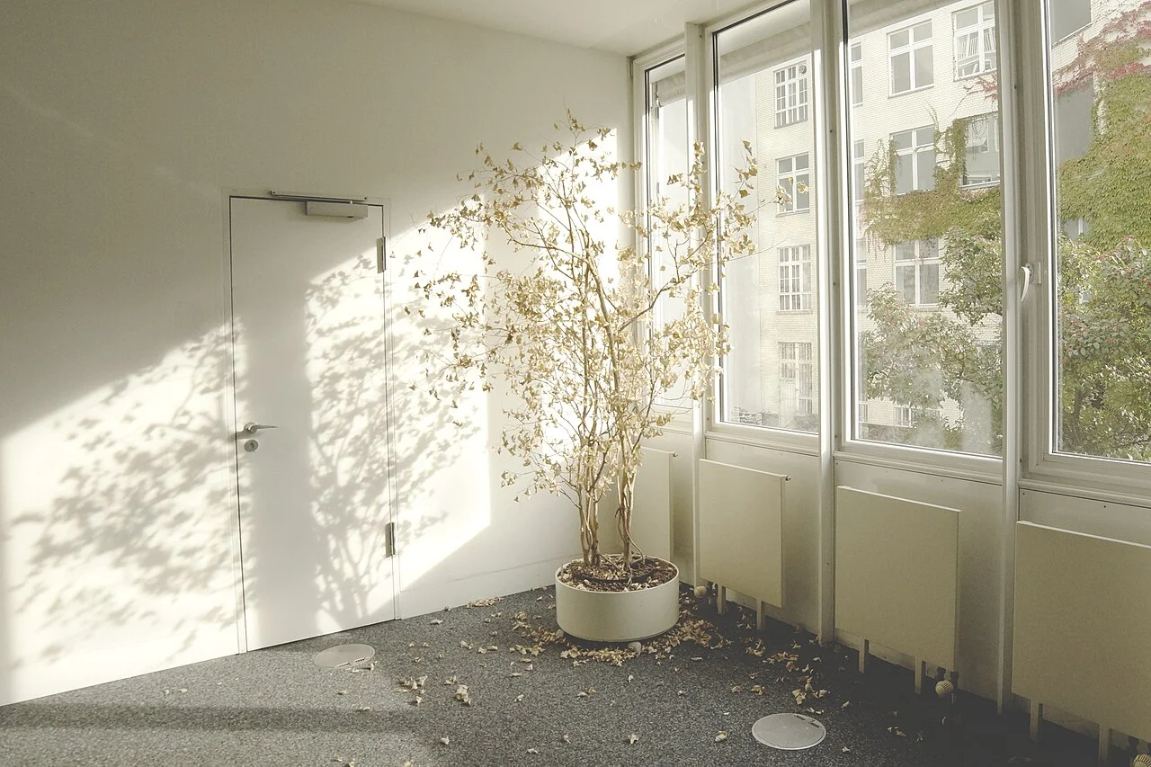 Lieu de travail et son aménagement, photographie d’illustration